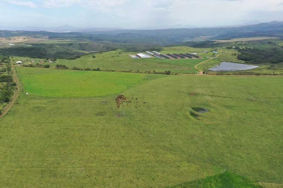 3 Bedroom Property for Sale in Thornhill Eastern Cape